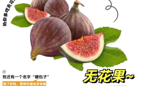 汗蒸不出汗是湿气重吗-汗蒸怎么身体不出汗是怎么回事网 - 为你提供汗蒸不出汗正常吗、汗蒸不觉得热是什么情况